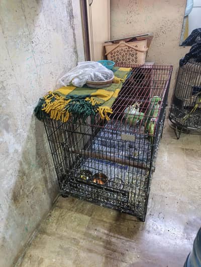 parrot cage only good condition