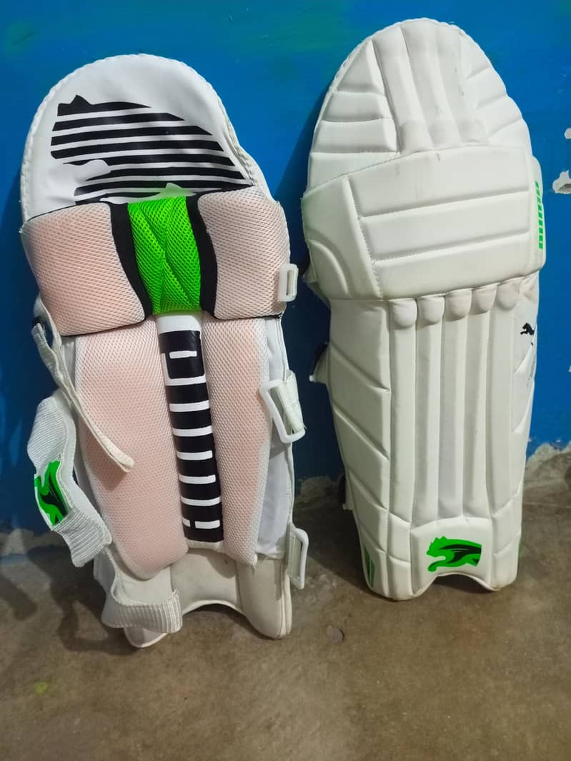 cricket kit 1