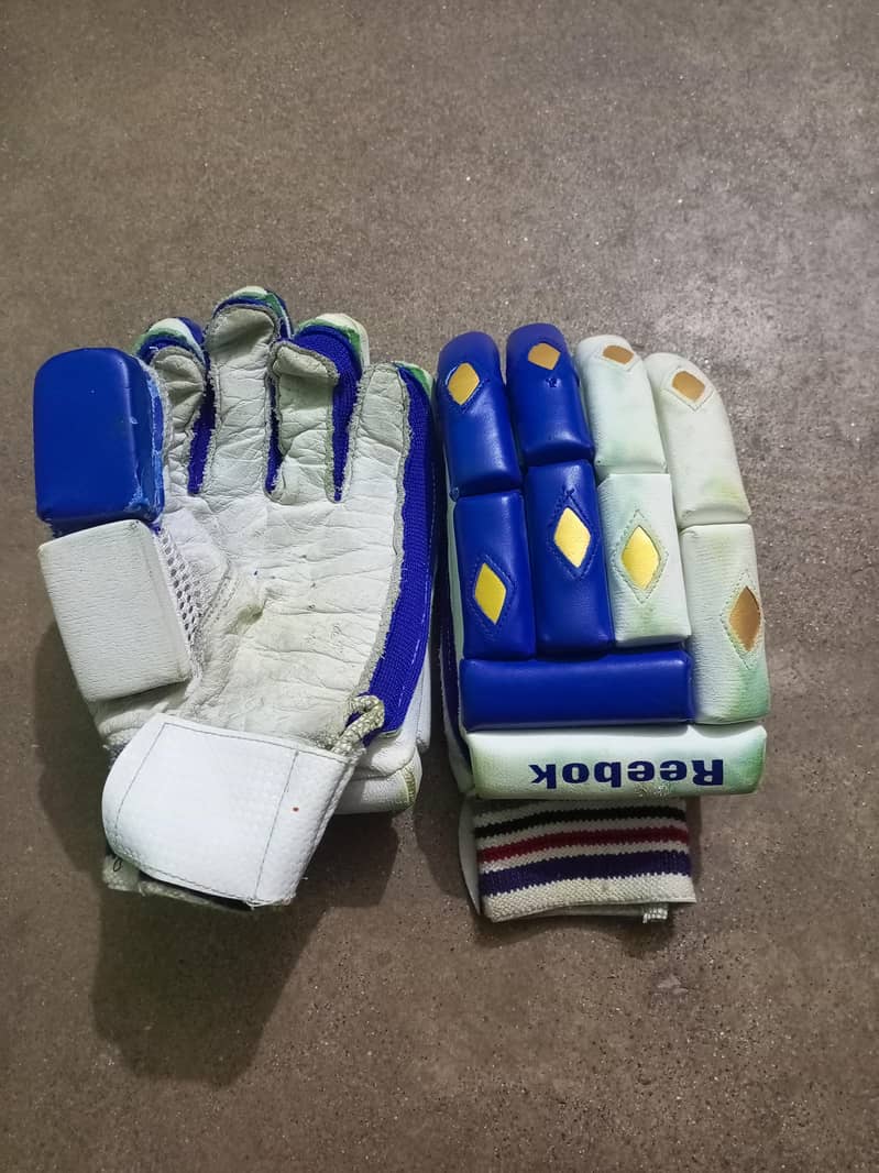 cricket kit 2