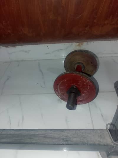 gym equipments for urgent sale
