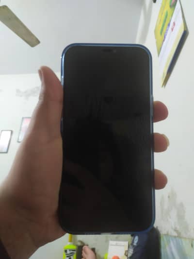 iphone 12 pro max 10 out 10 condion duel sim non PTA