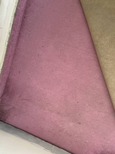 Bedroom carpet for sale
