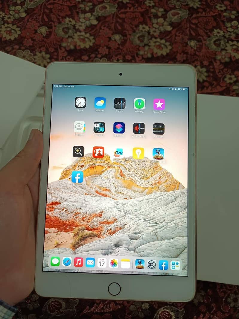 iPad Mini 5 1