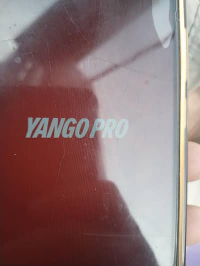 yango and indrive driver