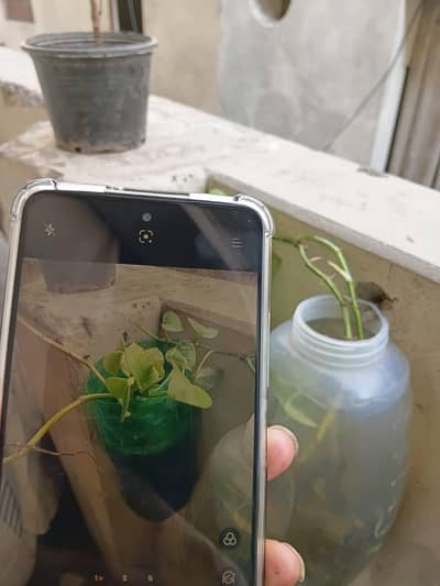 realme c67 condition 10 by 10 dibba charger bag camere mein line hai