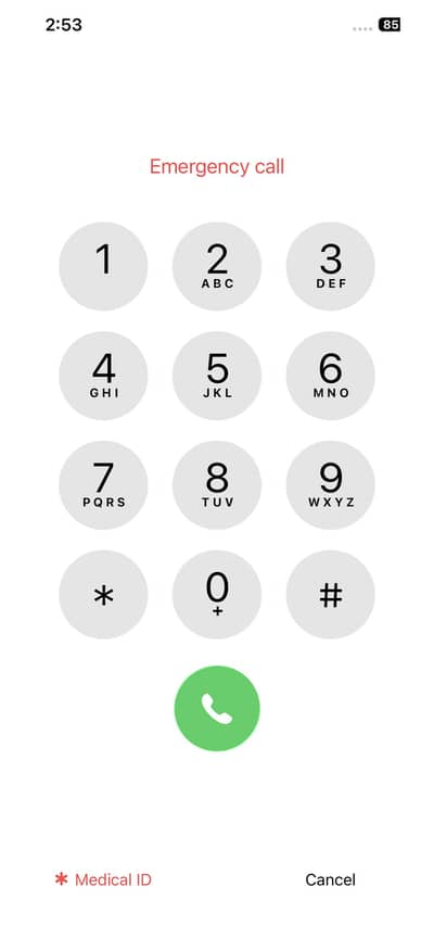 iphone 13 pro max 256gb jv lush condition