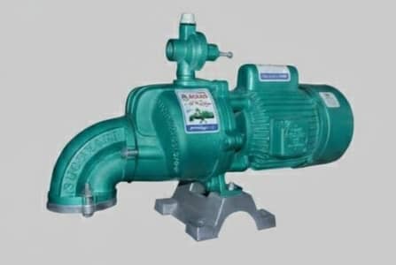 Double Suchyari Gold Pump