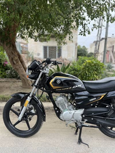 Yamaha YB125Z-DX 2026