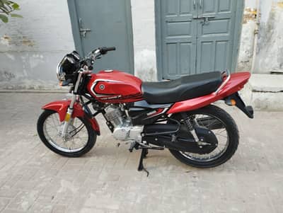 Yamaha Ybz 125 2025/26 Model Brand New Condition