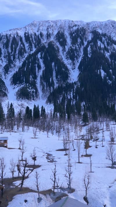 Fresh girl required for model