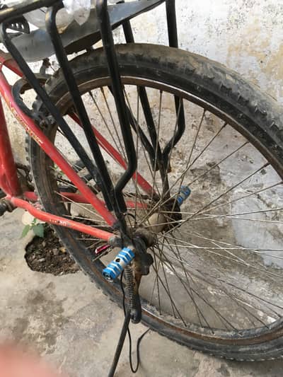 Phoenix cycle for sale