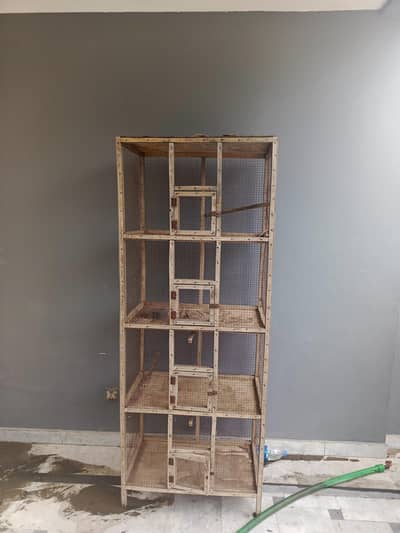 cage for parrots and chicks