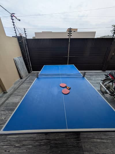 table tennis , 2 rackets with net