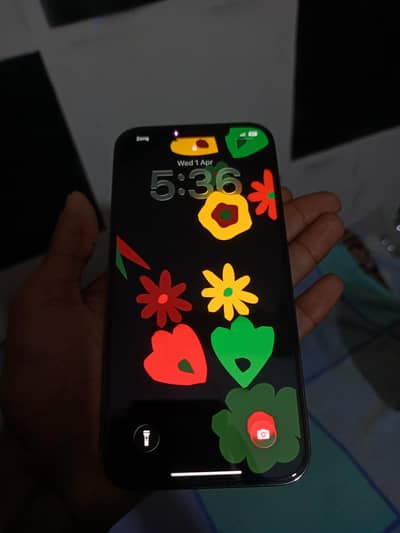 12 pro max pta approved