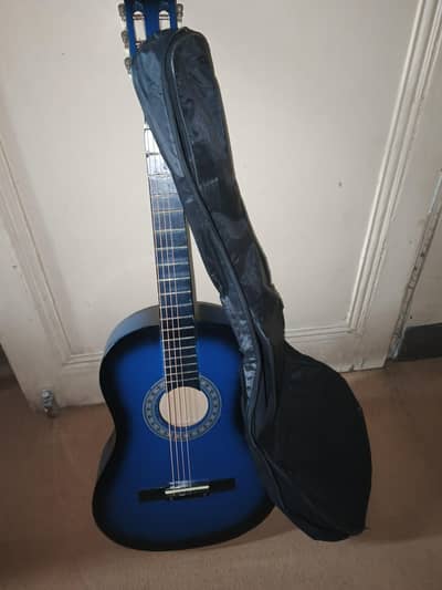 acoustic guitar , with bag