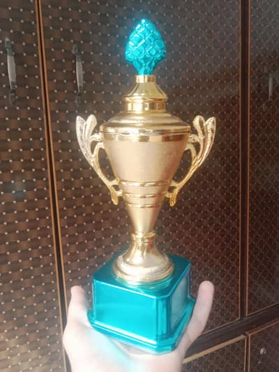 Golden Trophy Cup for School Kids | Prize Gift | Rs 199