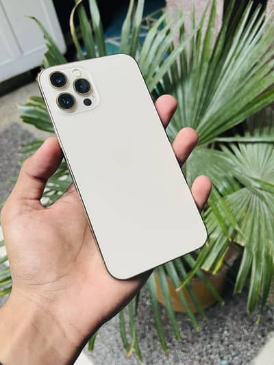 Iphone 12 pro max PTA proved