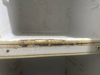 Siemens Fridge Not cooling Urgent sale read ad