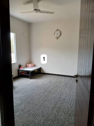 Independent Town House 1130 Ft At Hill Park Boundary Wall Project For Sale