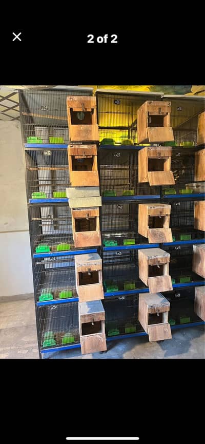 full angle made cage for sal