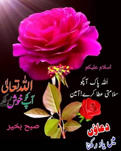 Welder, Fabricator aur helpers ke Zroorat hay.