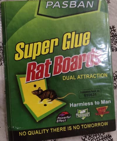 Rat Glue Board