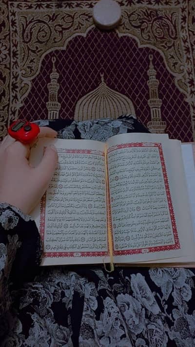 online quran teacher