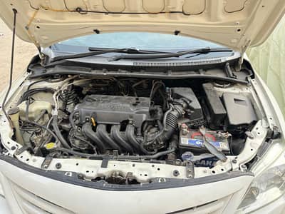 Gli 11 modal new light