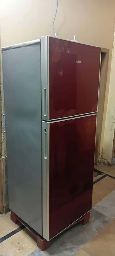 Haier full size frige glass door