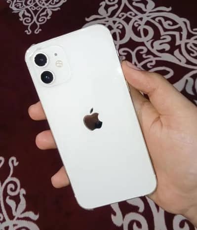 iPhone 12 (Non PTA) – Clean Condition | Urgent Sale | Best Price