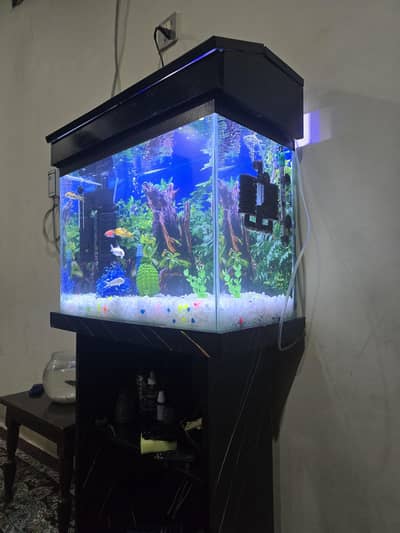 Beautiful 2ft Glass Aquarium with Designer Stand & Lighting