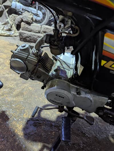 UNIQUE 70 MODEL 2022