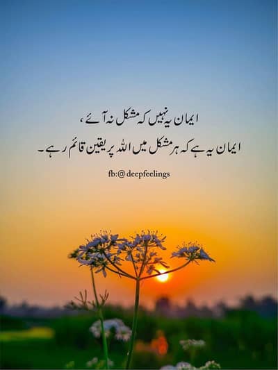 I'm female mujhy job ki zohrat ha