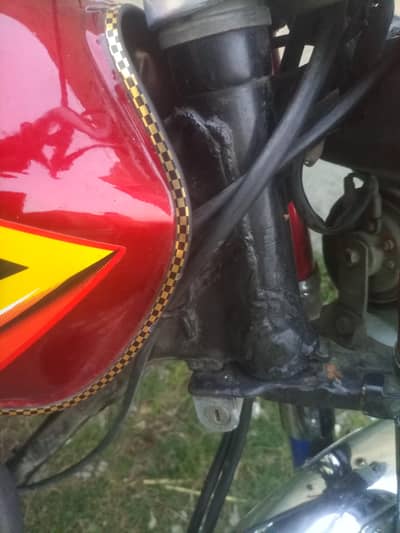 organl halt me ha  03153255720