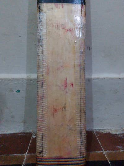 cricket hard ball bat