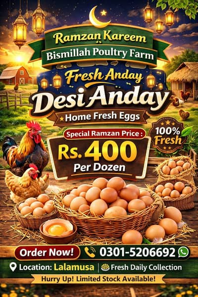 Home Fresh Desi Eggs for Sale | Fresh Home Collected Anday 