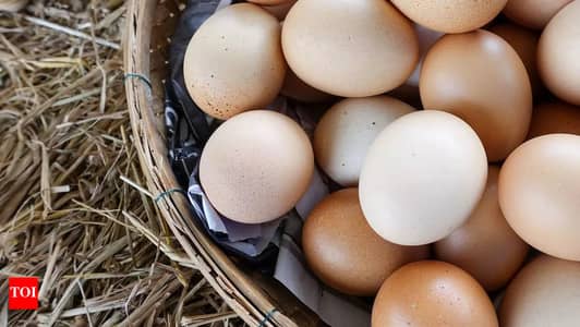 Pure unlimited desi eggs