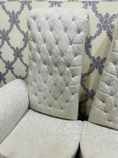 Luxury Two Sofa For Dining Halls