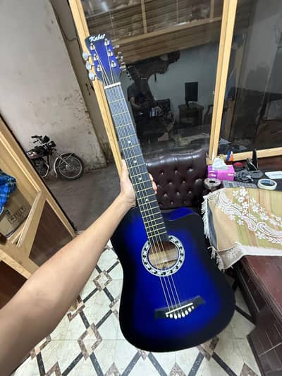 Acoustic Guitar