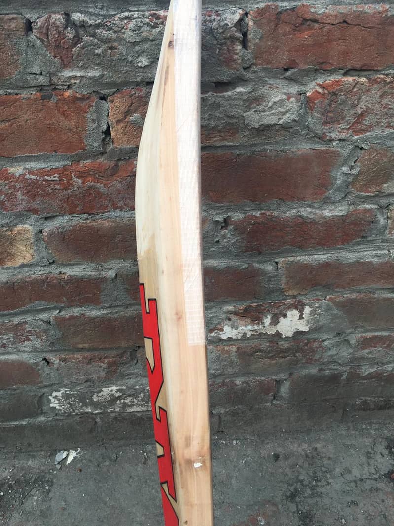 cricket bat 5