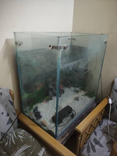 65 Gallon Fish Aquarium