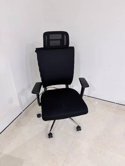 Ergonomic motion 2 Korean