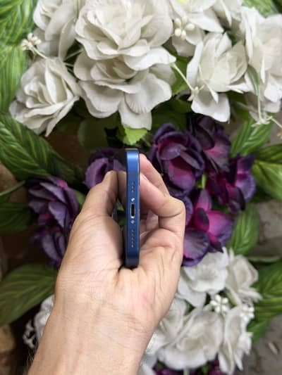 Iphone 12 pta approved 128gb