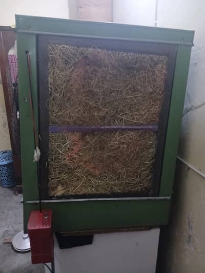 new brand 12 v+ color