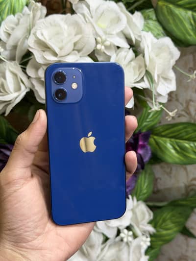 Iphone 12 pta approved 128gb