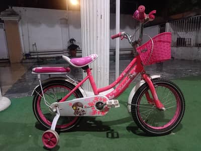 Frozen Girls Cycle - 20 Size