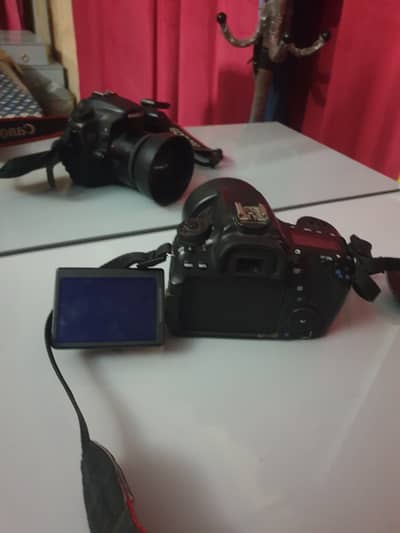 Canon 70d with 50 mm lines