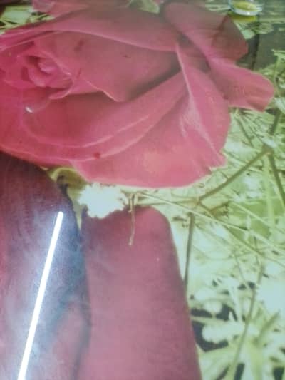 kitchen helper for cloud kitchen