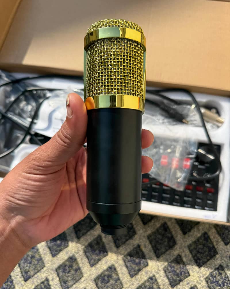 Bm 800 studio microphone 0