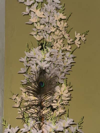 Need 0/3/2/8/3/6/1/9/0/3/1Only watsapp  pr rabta kry